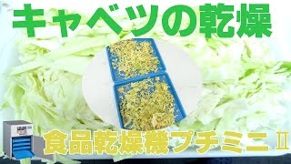 [乾燥野菜]食品乾燥機で乾燥キャベツの作り方