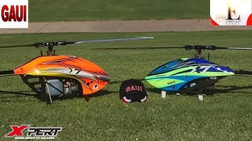 RC Helicopter --- Working on Inverted Hovering