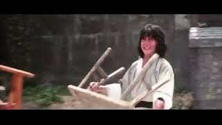 The Young Master 1980 Dragon Lung Vs. Sang Kung