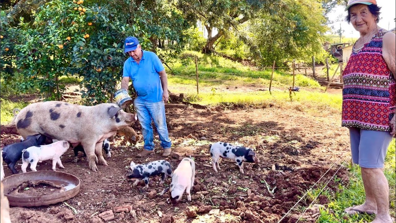 Vivendo assim no sítio perto de minha mãe posso ser mais feliz # não me vejo morando na cidade…