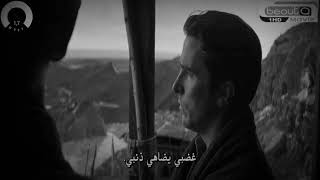 Iptv 16 Est..pink Tv..arena