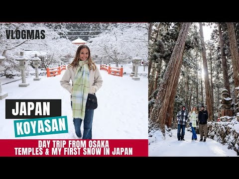 Koyasan - Temples & Snow (Day trip from Osaka) - VLOGmas Japan Special