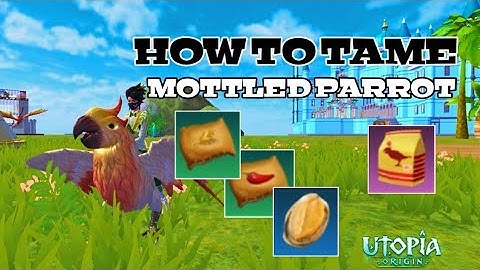 How to tame Mottled Parrot, Feed and locations | Utopia origin tutorial