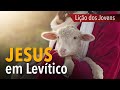 Lição dos Jovens: Jesus em Levítico