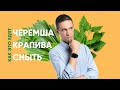 ЧЕРЕМША — что это такое и с чем ее едят | Секреты гастроботаники