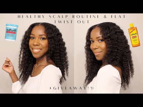 How To: Flat Twist Out w/ Anti Dandruff Wash Day Routine (GIVEAWAY) | Natural Hair | Jamila Nia