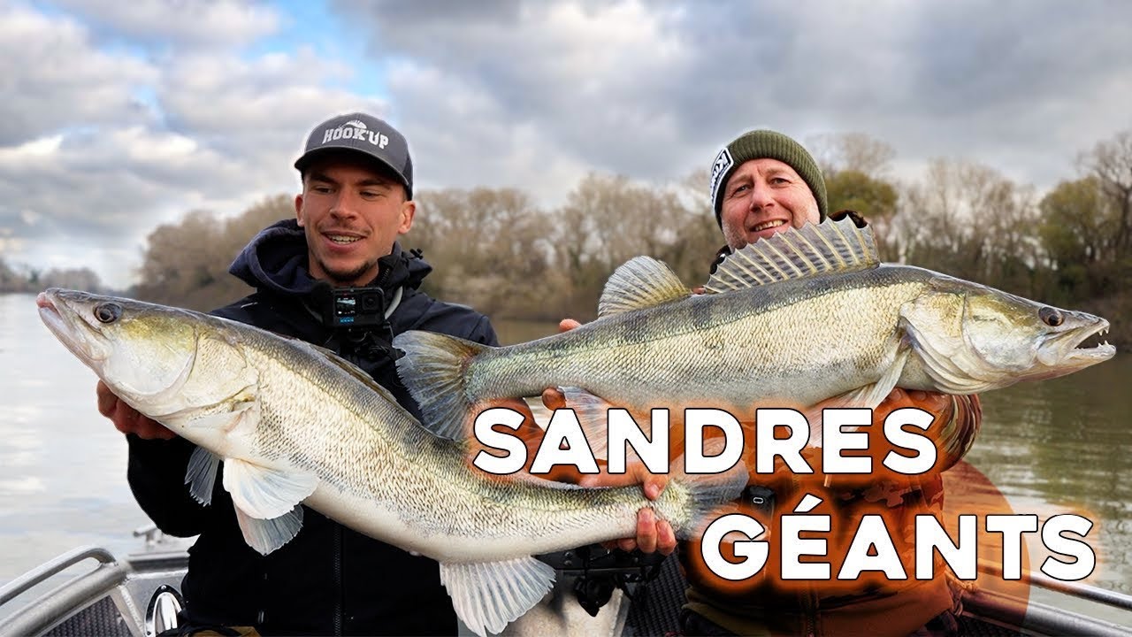 Traque du Sandre en Hiver ! On trouve comment pêcher les plus gros Poissons !