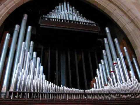 Explaining the Organ Part 1 of 3 - David Gell - Sa...