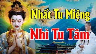 Phật Dạy Tu Tại Tâm Không Bằng Tu Tại Miệng, Người Hay Khẩu Nghiệp Ắt Nhận Quả Báo Đắng Cay - TDPP