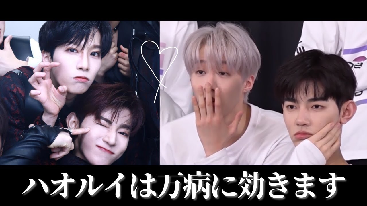 【ボイプラ】ハオルイは万病に効く【ジャン・ハオ/チェン・クァンルイ】