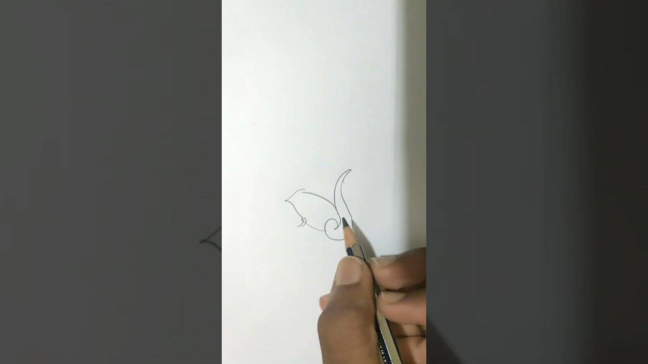 how to draw the squirrel easily.....