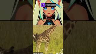 Wait, giraffes do WHAT?! 🦒
