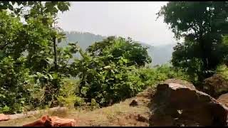 Natural india Forest | Gujarat Forest Natural | India Natural | all India Forest Natural | Natural screenshot 4