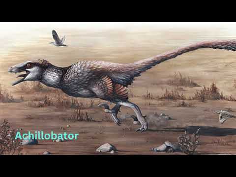 Different Carnivorous Dinosaurs Different Carnivorous Dinosaurs