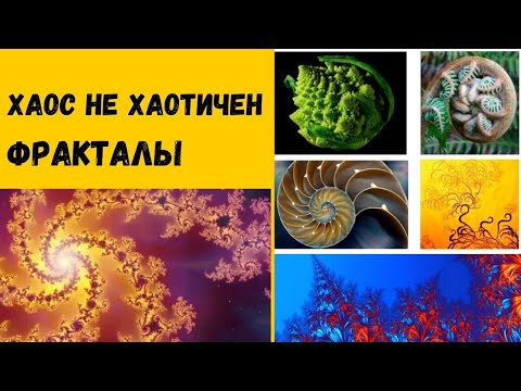 Видео: Фрактали и четвъртинки