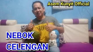 ASEM KUNYIT.NEBOK CELENGAN.voc.nada.cip.nada.arr.nada