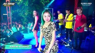 NEW IRWANA - BOJO 2 VIA PEDIA FT AURA LARASATI - HAPPY PARTY PEMUDA LUNDO BERSATU LUNDO JAKEN PATI