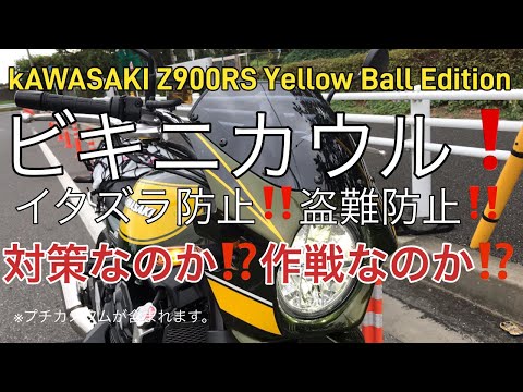 2024年モデル カワサキ Z900RS イエローボールエディション ...
