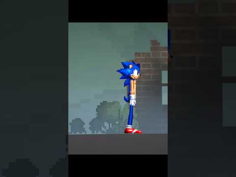 How Porcupines Use Their Quills 🦔 - Melon Playground #porcupines