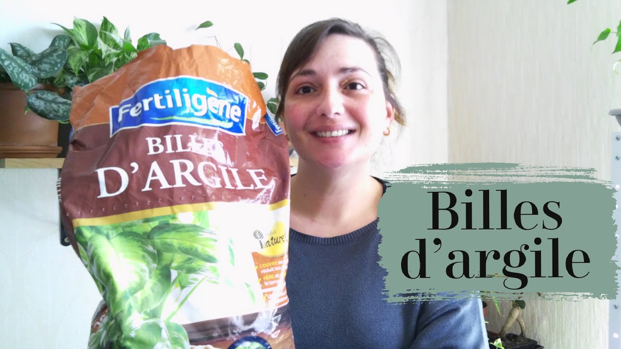 Billes d'Argile Algoflash