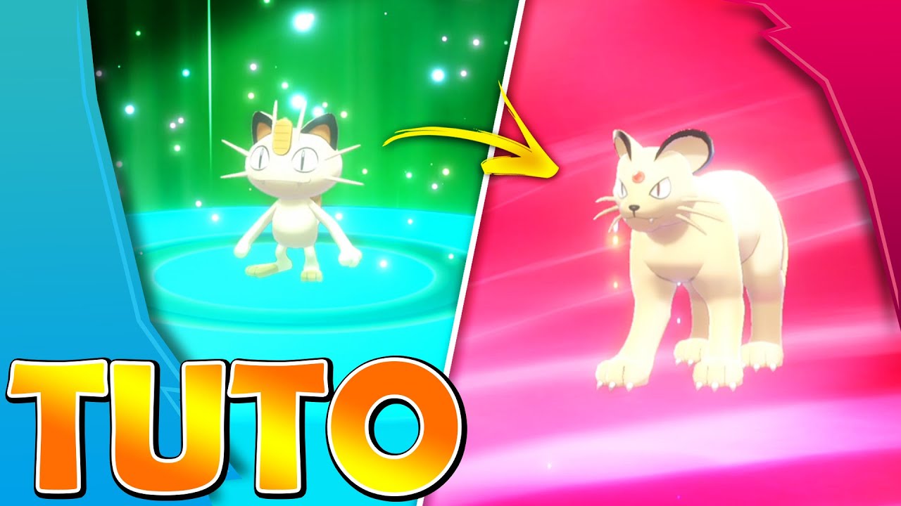 Comment obtenir MIAOUSS et PERSIAN de Kanto🐱~Tutoriel Pokémon Épée et