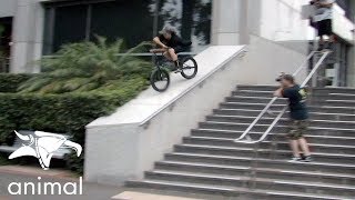 ANIMAL BIKES - JAMES PEASE 2019 - DIG BMX