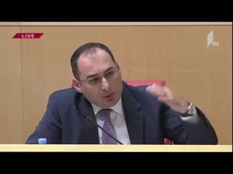 დიმიტრი ქუმსიშვილის გამოსვლა პარლამენტში