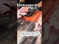 Boosie Catches 73 Fish 🐟 #fypシ゚viral