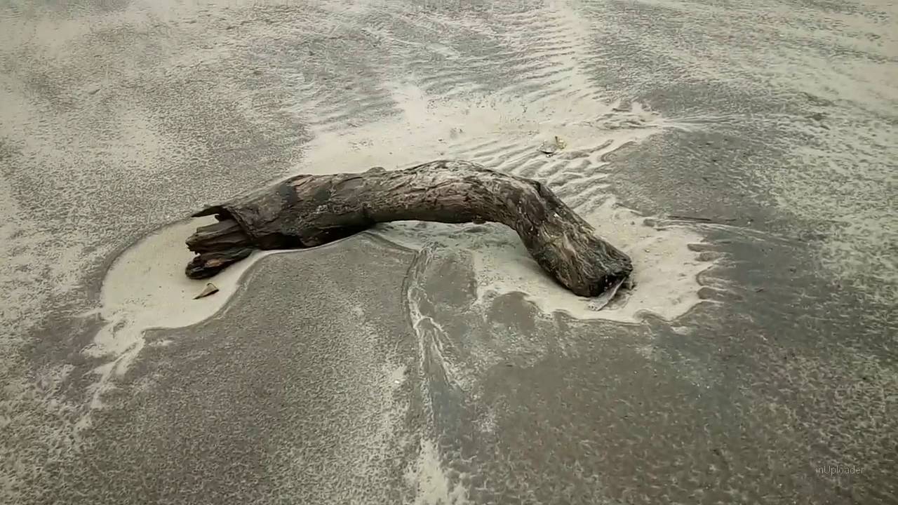 A walk on Awas Beach | Alibag