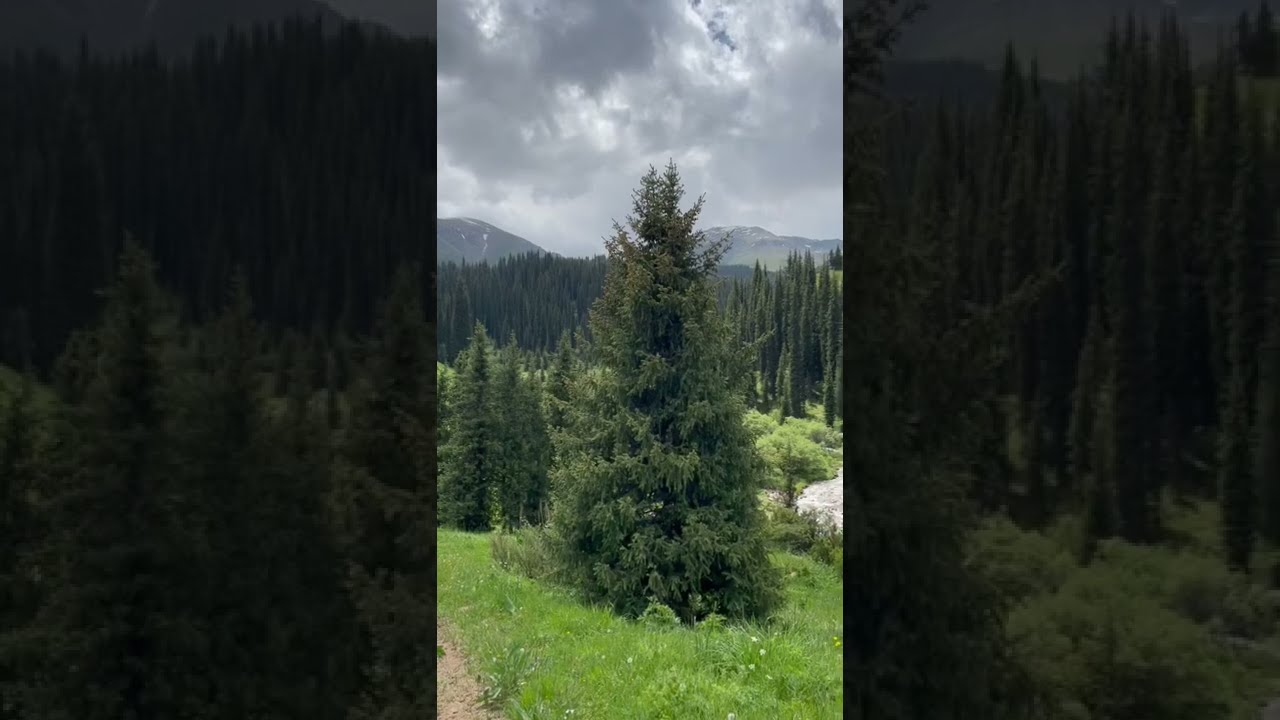 Однажды в горах Казахстана. Где-то на плато Асы. Kazakhstan. Nature. 2500 meters above sea level