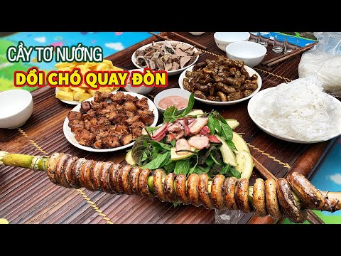 Video Đào Riềng Hái Lá Làm Dồi Chó Quay Đòn | Thịt Cày Tơ... - youtube