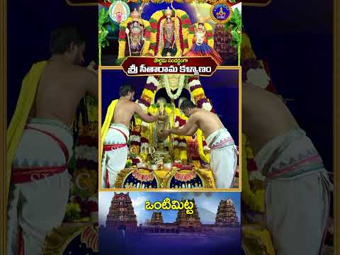 పౌర్ణమి సందర్భంగా శ్రీ సీతారామకళ్యాణం-ఒంటిమిట్ట || SVBC TTD