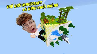 ThắnG Tê Tê Sinh Tồn Trên Thế Giới Minecraft Khối Vuông 6 Mặt