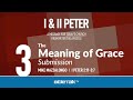 The Meaning of Grace: Submission (I Peter 2-3) | Mike Mazzalongo | BibleTalk.tv
