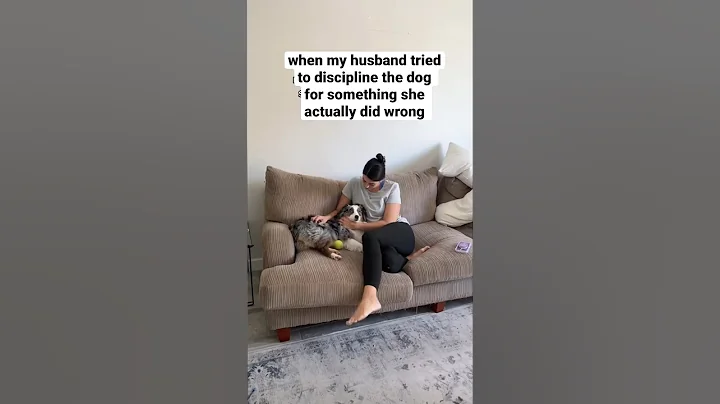 taylor swifts security guard via dog #dog #trendingshorts #taylorswift #funnyvideo #shorts