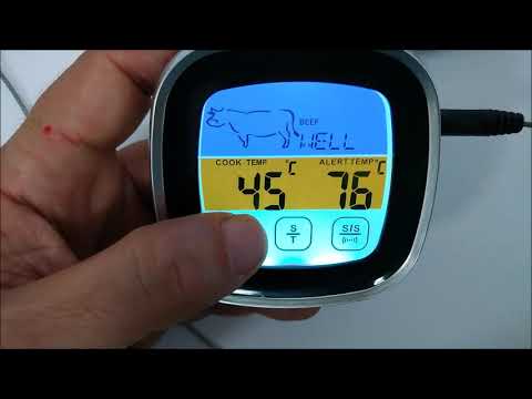 Vídeo: Termômetro De Churrasco (18 Fotos): Escolhendo Um Sensor De Temperatura Para A Churrasqueira