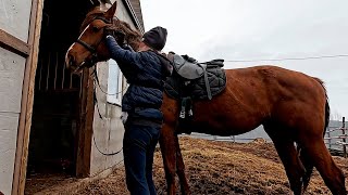 В деревню пришла весна 🌺 | Верхом по снежному лесу | VLOG садовой жизни