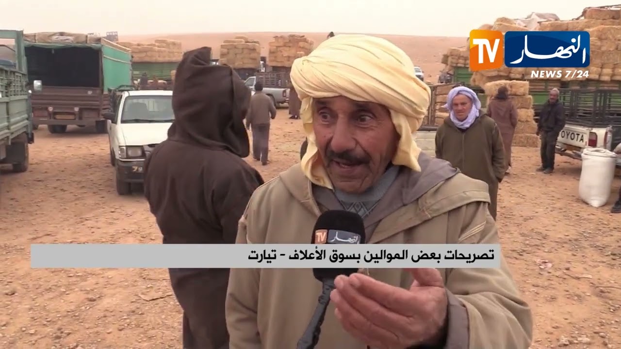 تیارت / موالون يثمنون ضبط أسعار الأعلاف ومطالب بمحاربة المضاربة