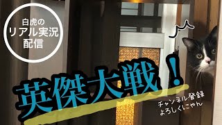 【英傑大戦】白虎＆替天行道の長野BeeGames定期配信。高杉４枚、家康４枚、蜘蛛４枚など【LIVE配信.VOL15】