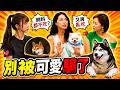 陳真砸大錢買保健品給毛小孩 寧可餓到吐胃酸也不吃！ 巫苡萱愛貓洗澡像打仗 ！熊熊愛犬狂過敏！雞肉、牛肉都不能吃！【醫學大聯盟】2026.08.03 #卡若絲醫學沙龍品牌