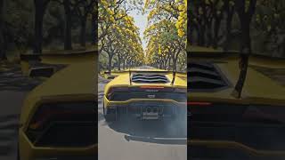 Lanborgini road line #automobile