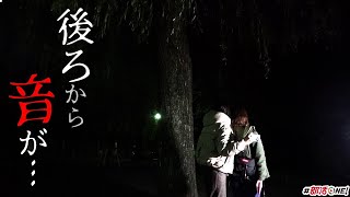 心霊スポット赤塚公園では柳の木と溜池で霊現象が起きるらしい【オカルト部】