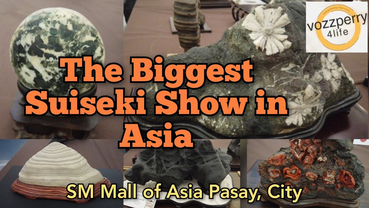 The Biggest Suiseki Show in Asia (June 10-12 2023)