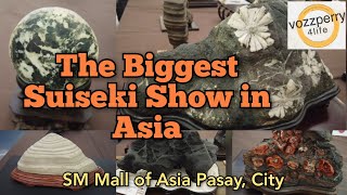 The Biggest Suiseki Show in Asia (June 10-12 2023)