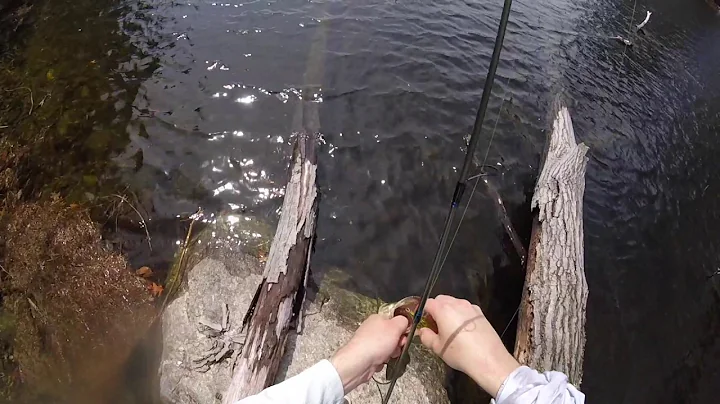 Breaking tips and rippin lips