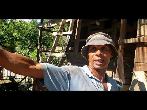 FOR the LOVE! |  Mark Tells Why He Pursues A Thriving & Extensive POULTRY FARM Despite NO PROFIT! |