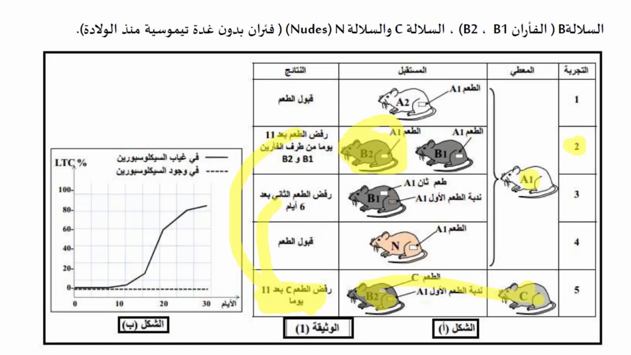 علوم طبيعية: تمرين محلول 2 المناعة الخلوية ورفض الطعوم