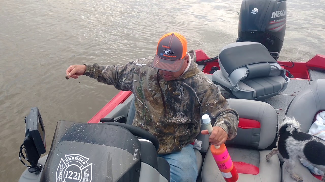 Catfishing at the lake YouTube