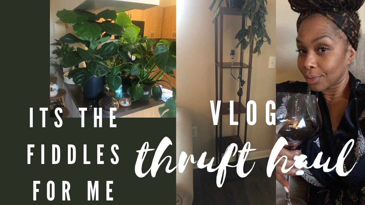 Daily vlog fiddle fig leaf care EPIC thrift haul - YouTube