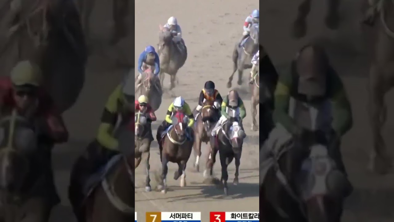 아쉽다 4-2가들어오네4-11번찍었는데